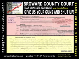 Broward County Court of Minnesota Order for Holmseth