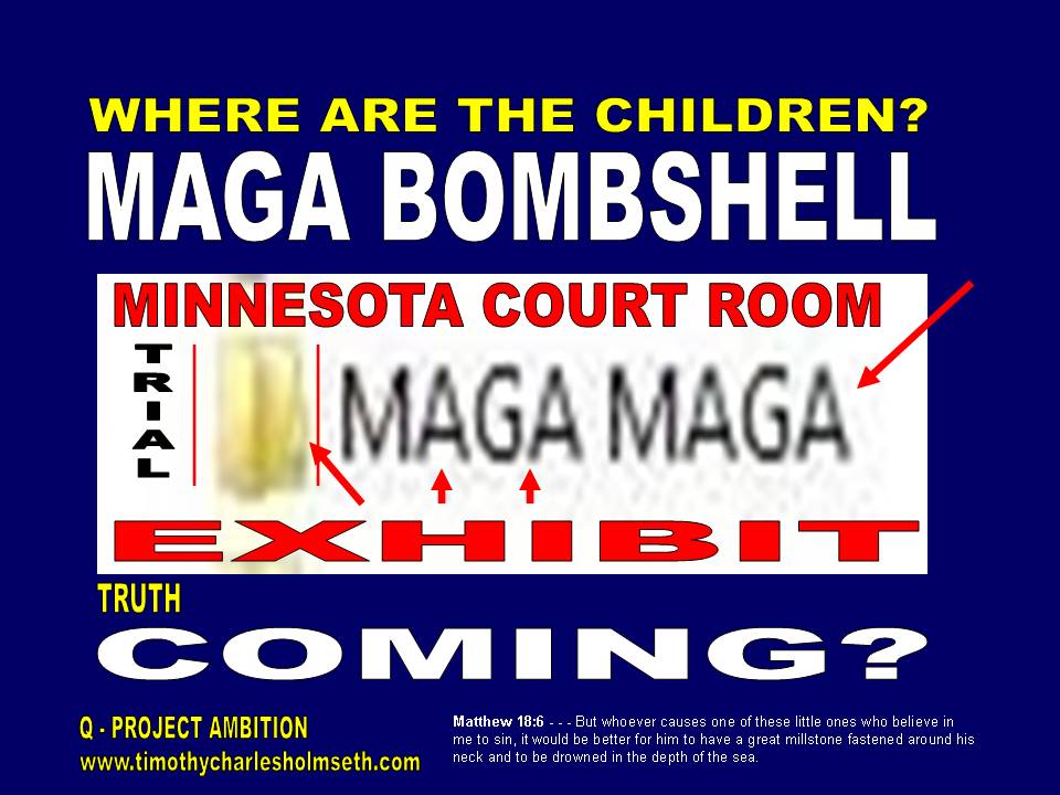 Where are the children maga bombshell exhibit coming to minnesota courtroom.