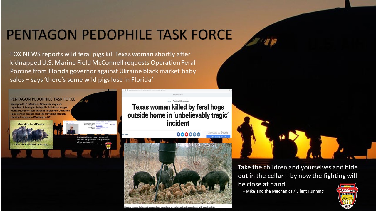 PENTAGON PEDOPHILE TASK FORCE WILD KILLER PIGS