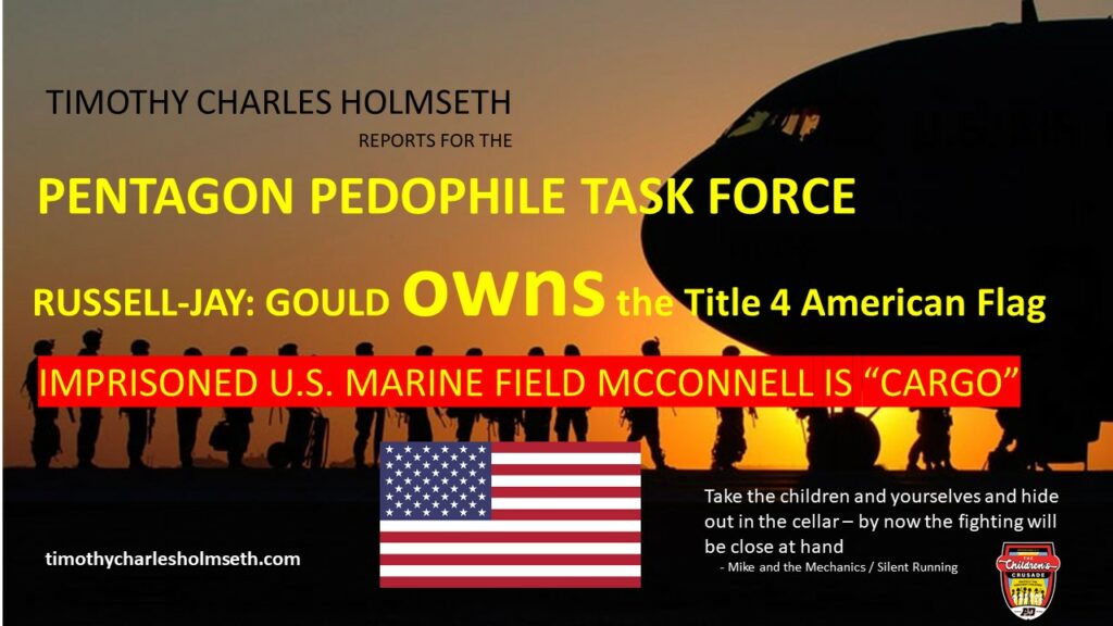 Pentagon task force - ovus - marine field mccoy's flag.