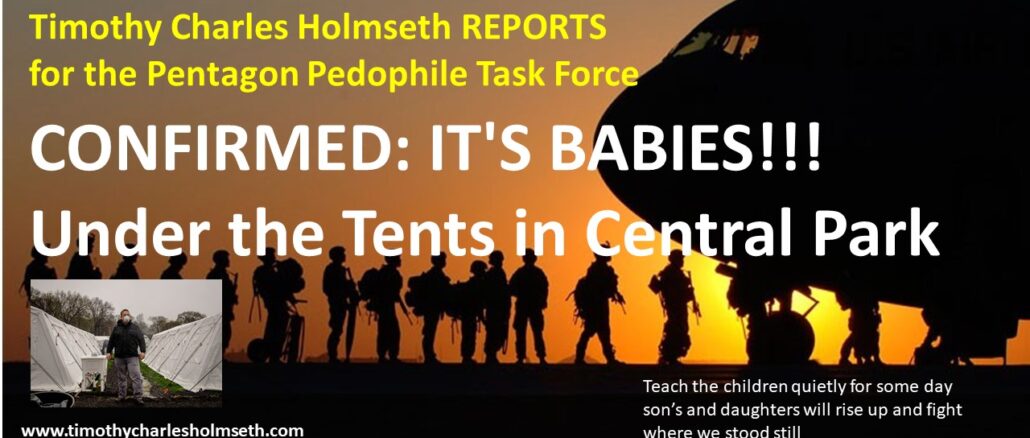 Timothy charles holland reports confirmed its task babies confirmed tents in central park.