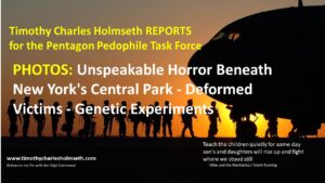 Timothy charles holland's report on new york's park.