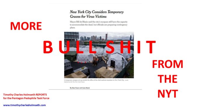 NYT BULLSHIT