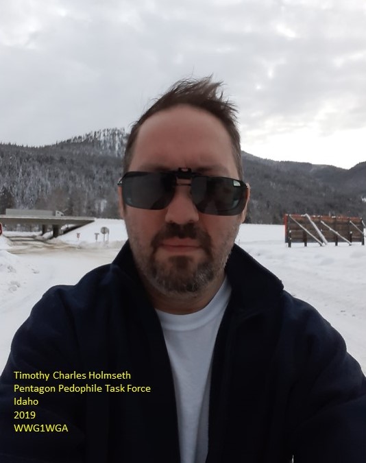 Timothy Charles Holmseth, Pentagon Pedophile Task Force