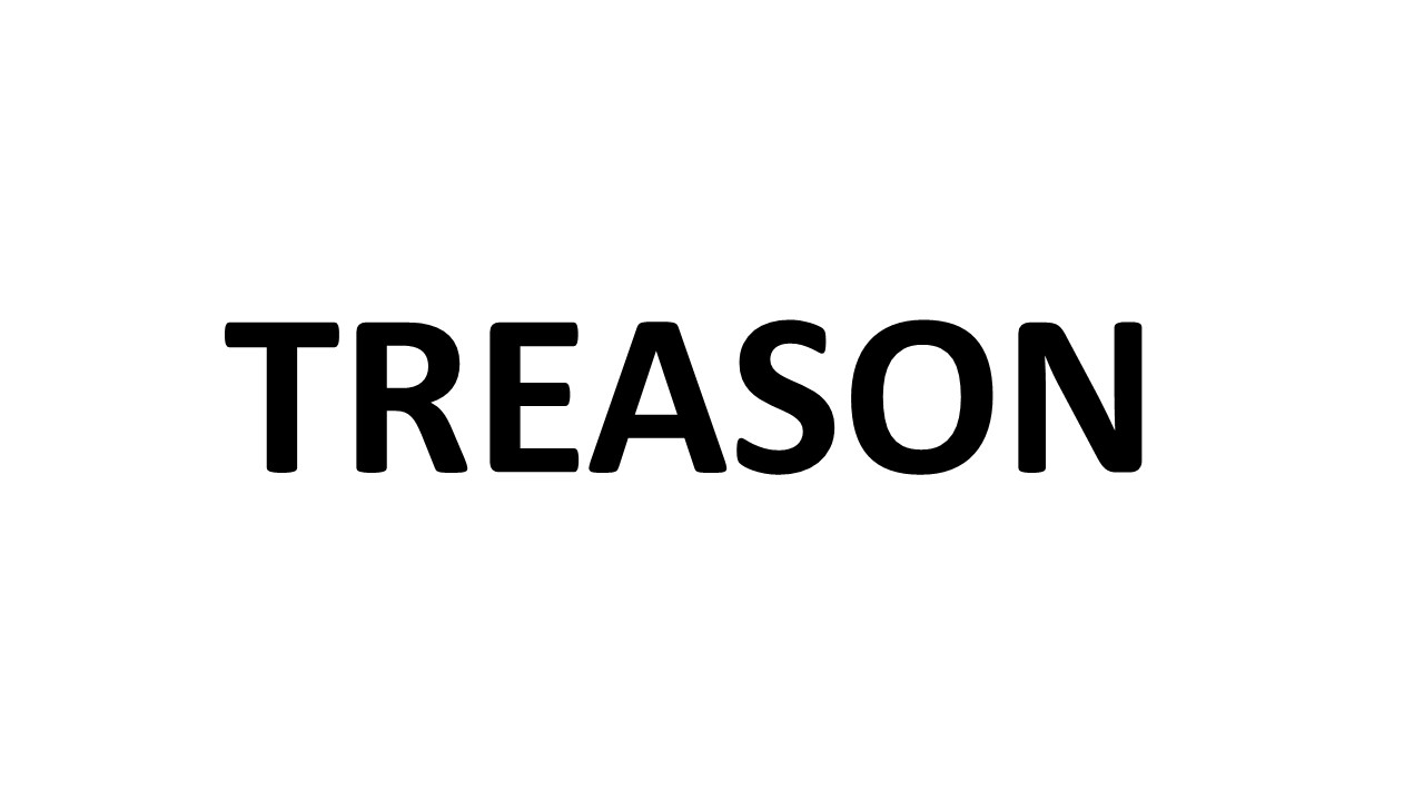 The word treason on a white background.