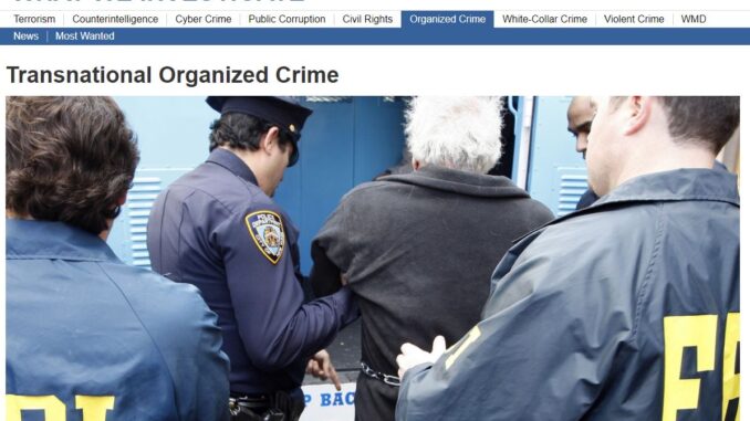 fbi transnational