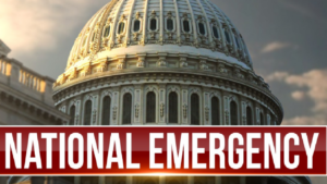 national emergency logo