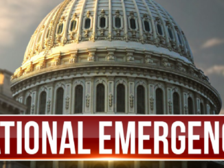 national emergency logo