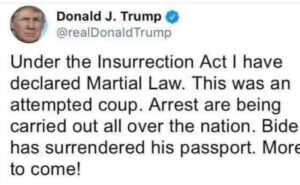 Donald trump's tweet about the martial law.