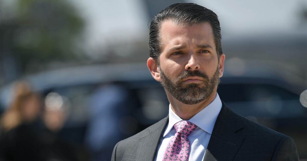 Don Jr Calls Out Will Sommer, Left Wng Journalist