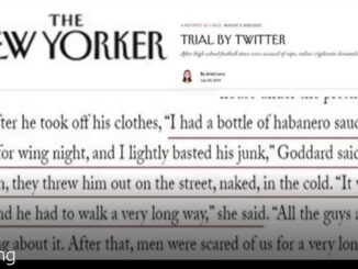 new yorker article trial by twitter