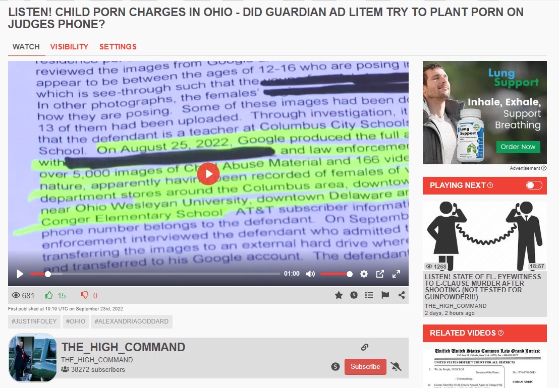 LISTEN! CHILD PORN CHARGES IN OHIO - DID GUARDIAN AD LITEM TRY TO PLANT