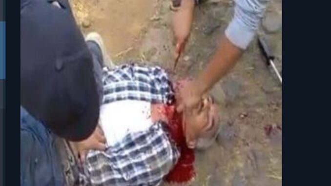 Screenshot 2022-11-14 205841 DEATH OF TIMOTHY TIMMY HEADLESS
