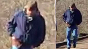 William Murtaugh Walking, Bridge Man in Delphi Murders Case