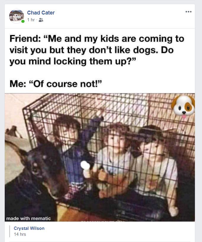 Kids locked in cage and dogs outside