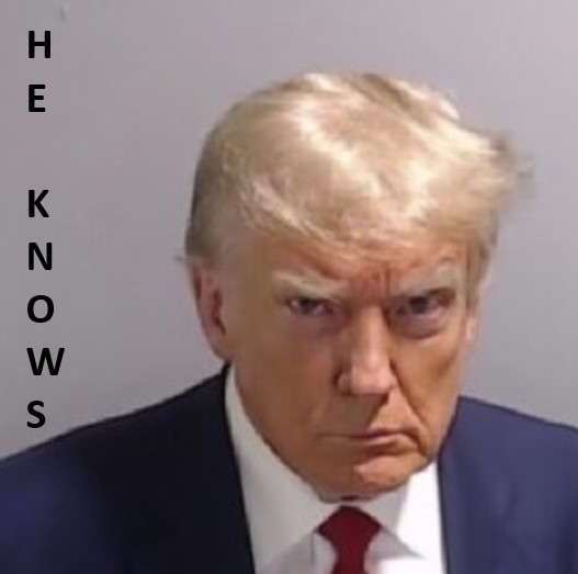 Donald trump's face with the words,the knows.