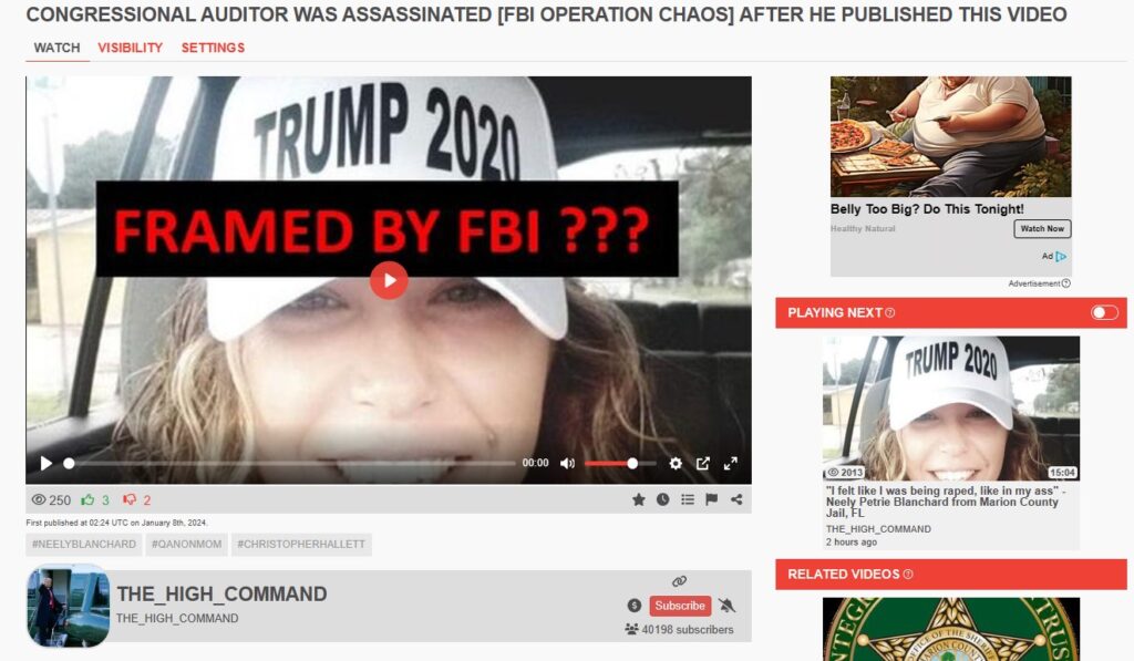 WATCH!!! ASSASSINATED CONGRESSIONAL AUDITOR CHRISTOPHER HALLETT ...