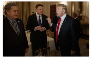 bannon trump elon musk