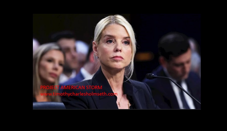 bondi pam project american storm