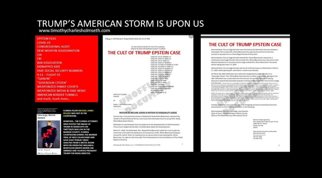 TRUMP'S AMERICAN STORM JUDGE LISA HERNDON NEELY BLANCHARD CHRIS HALLETT ECLAUSE LLC FLORIDA HAVANA SYNDROME