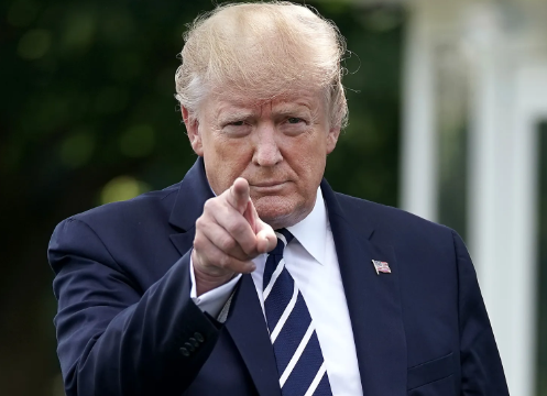 TRUMP POINTING FINGER