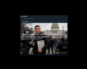lin wood michael flynn storm the capital